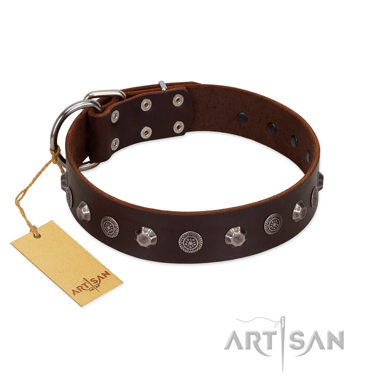 "Dark Chocolate" Handmade FDT Artisan Brown Leather Amstaff Collar with Studs