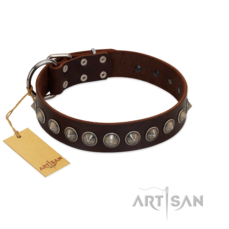 "Gothic Style" FDT Artisan Fancy Brown Leather Amstaff Collar with Silver-Like Decorations