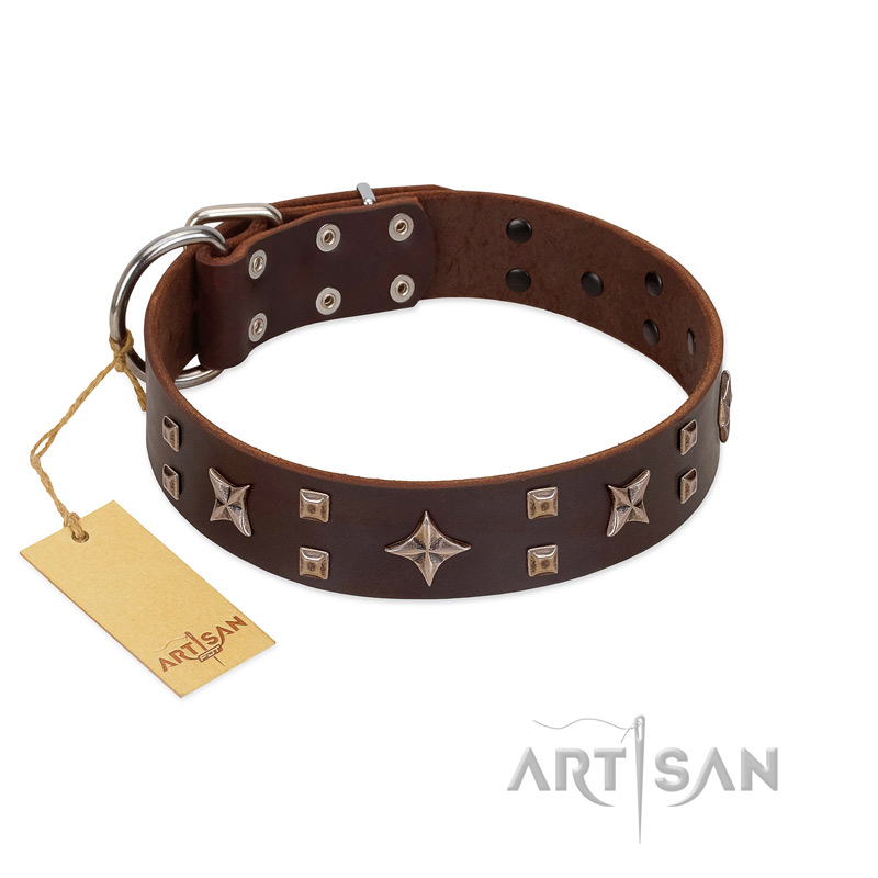 "Stars in Sands" Modern FDT Artisan Brown Leather Amstaff Collar with Studs and Stars