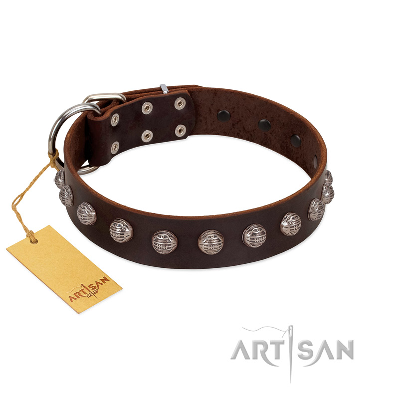 "Lucky Silver" Designer Handmade FDT Artisan Brown Leather Amstaff Collar