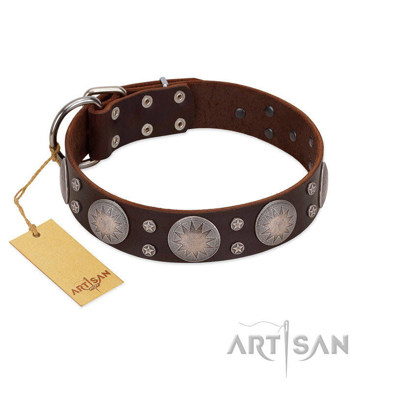 "Imperial Legate" FDT Artisan Brown Leather Amstaff Collar with Big Round Plates