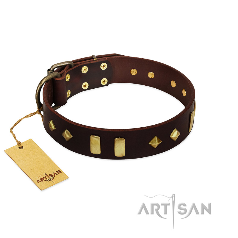"Blinking Illusion" FDT Artisan Brown Leather Amstaff Collar with Old Bronze-like Studs and Plates