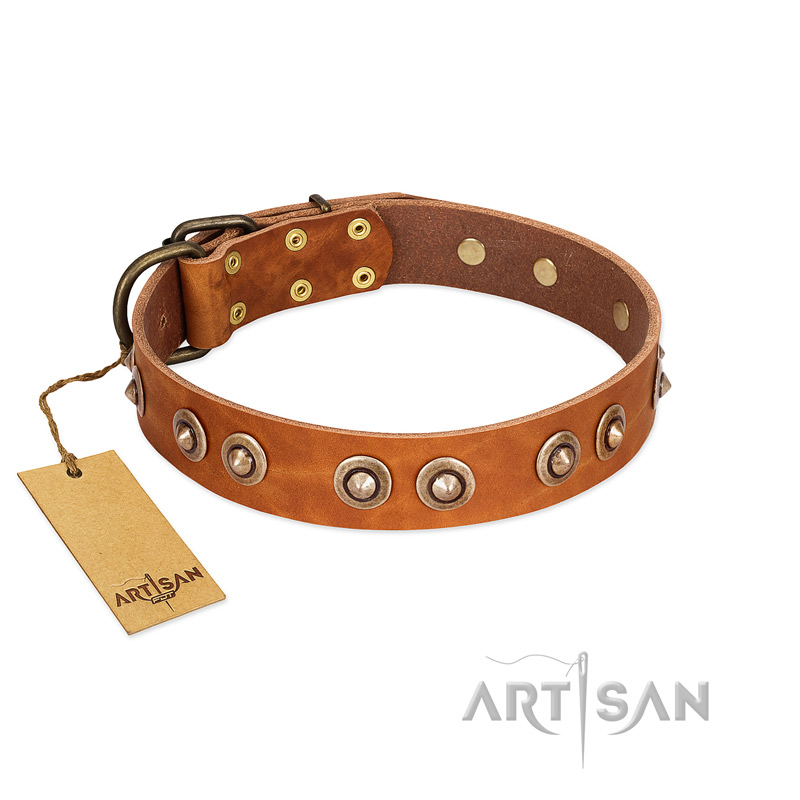 "Precious Relic" FDT Artisan Tan Leather Amstaff Collar Adorned with Old Bronze Look Studs - Click Image to Close