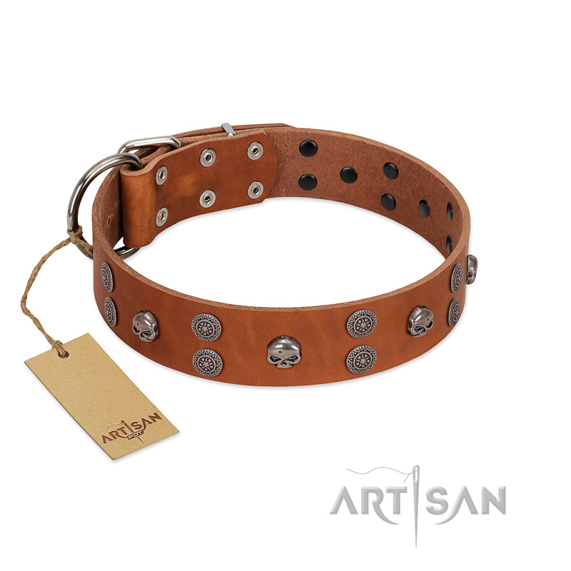 "Road Rider" FDT Artisan Tan Leather Amstaff Collar with Old Silver-like Skulls and Medallions
