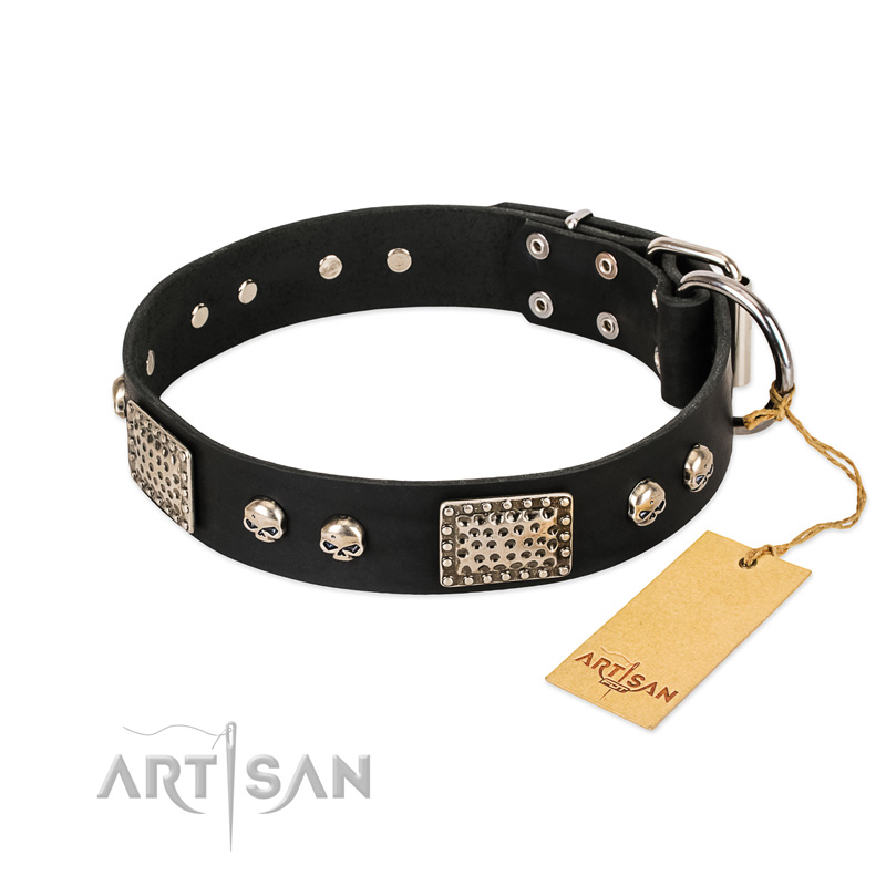 "Pirates Gold" FDT Artisan Black Leather Amstaff Collar with Old Silver Look Plates and Skulls