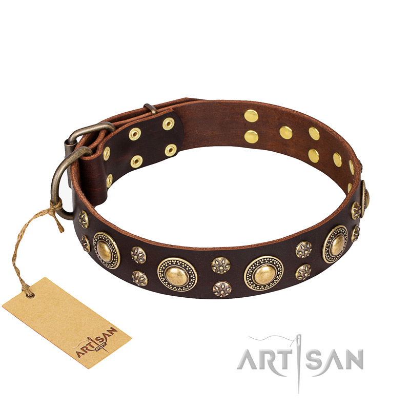 "Flower Melody" FDT Artisan Brown Leather Amstaff Collar with Mixed Studs