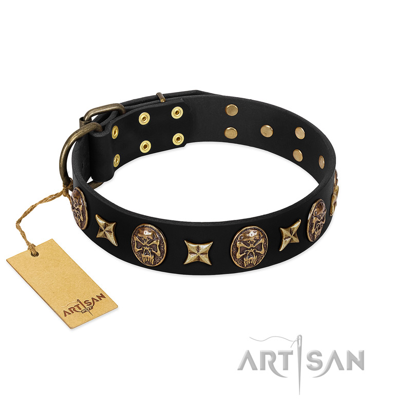 "Starry Saga" FDT Artisan Black Leather Amstaff Collar with Stars and Skulls