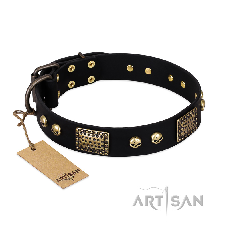"Biker Style" FDT Artisan Black Leather Amstaff Collar with Old Bronze Look Plates and Skulls