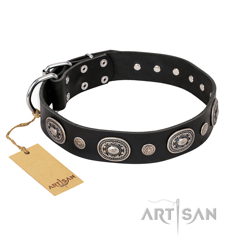 "Black Tie" FDT Artisan Leather Amstaff Collar with Old Silver-like Decorations