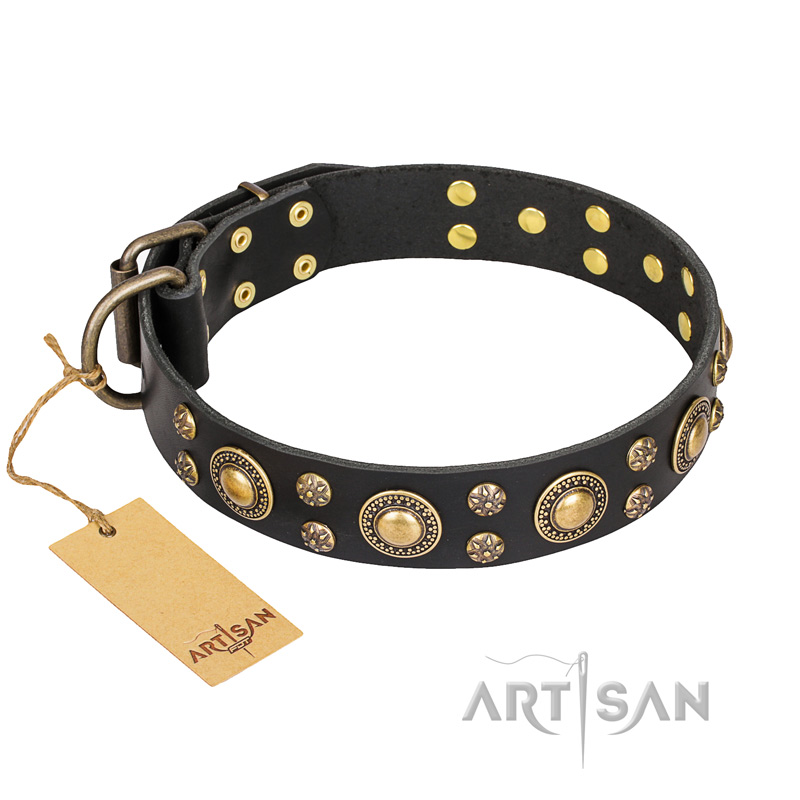 "Baroque Chic" FDT Artisan Studded Black Leather Amstaff Collar