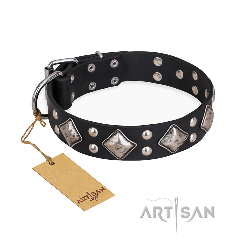 "Smart Geometry" FDT Artisan Studded Leather Amstaff Collar