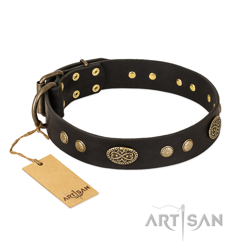 "Perfect Tracery" FDT Artisan Black Leather Amstaff Collar with Old Bronze Look Plates and Circles