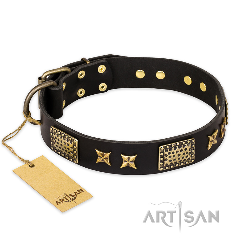 "Passion for Style and Beauty" FDT Artisan Decorated Black Leather Amstaff Collar