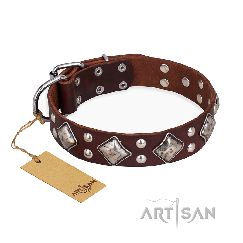 "King of Grace" FDT Artisan Stylish Leather Amstaff Collar with Old Silver-Like Plated Decorations