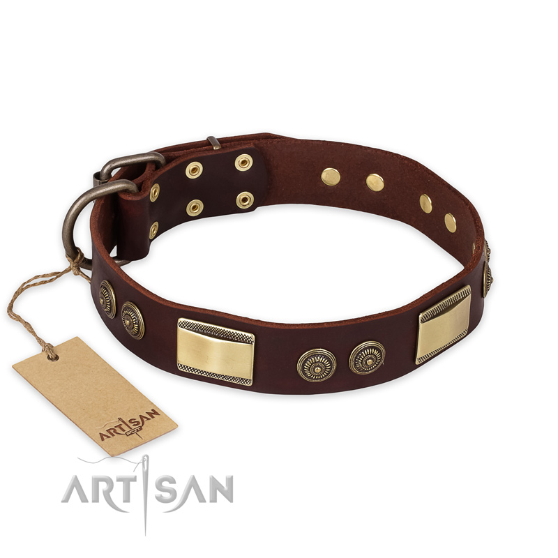 "Golden Stones" FDT Artisan Brown Leather Amstaff Collar with Old Bronze Look Plates and Circles