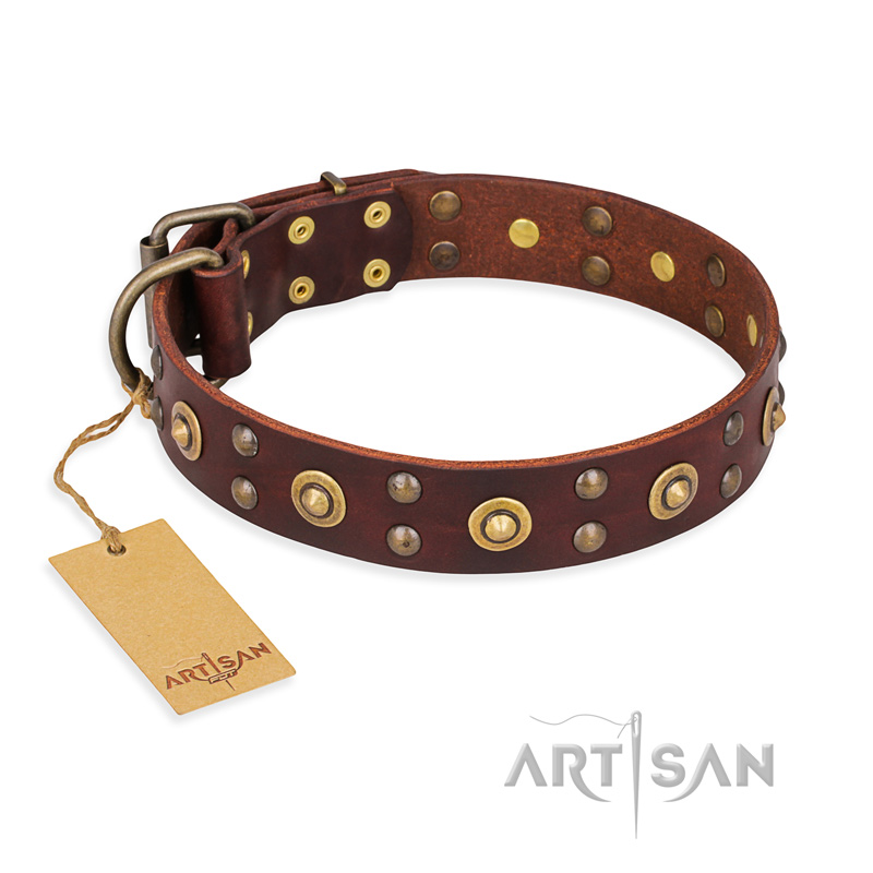 "Caprice of Fashion" FDT Artisan Brown Leather Amstaff Collar with Round Decorations