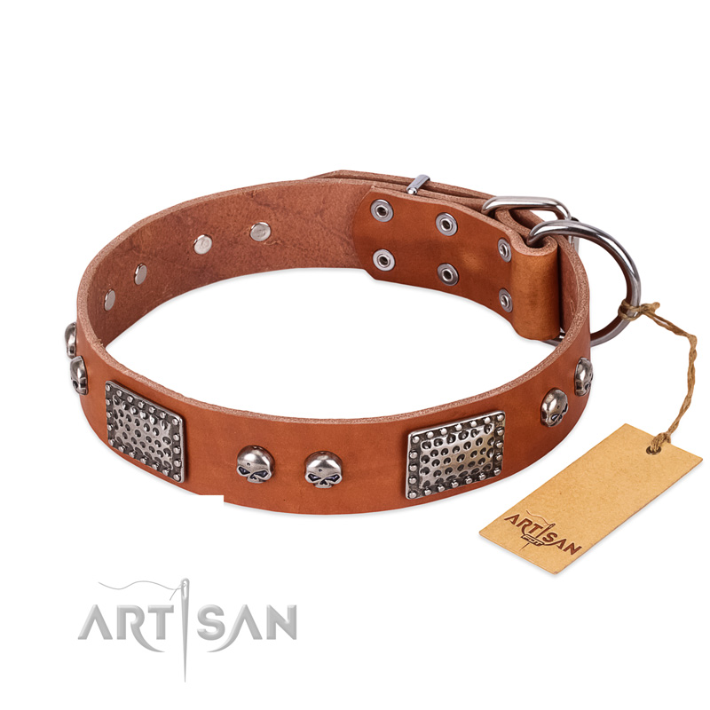 "Sparkling Skull" FDT Artisan Tan Leather Amstaff Collar with Old Silver Look Plates and Skulls