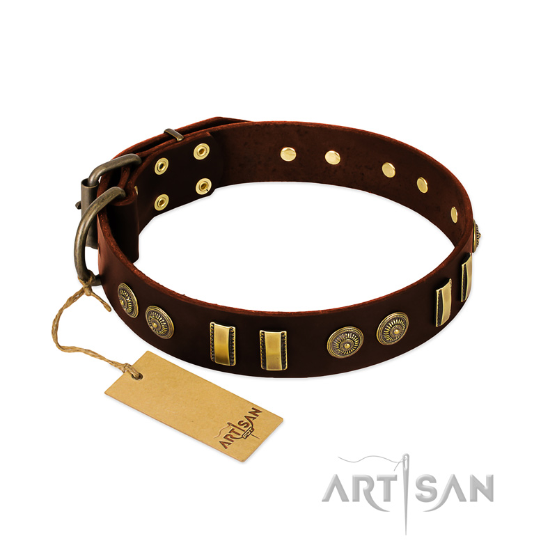 "Golden Elegance" FDT Artisan Brown Leather Amstaff Collar with Old Bronze-like Decorations