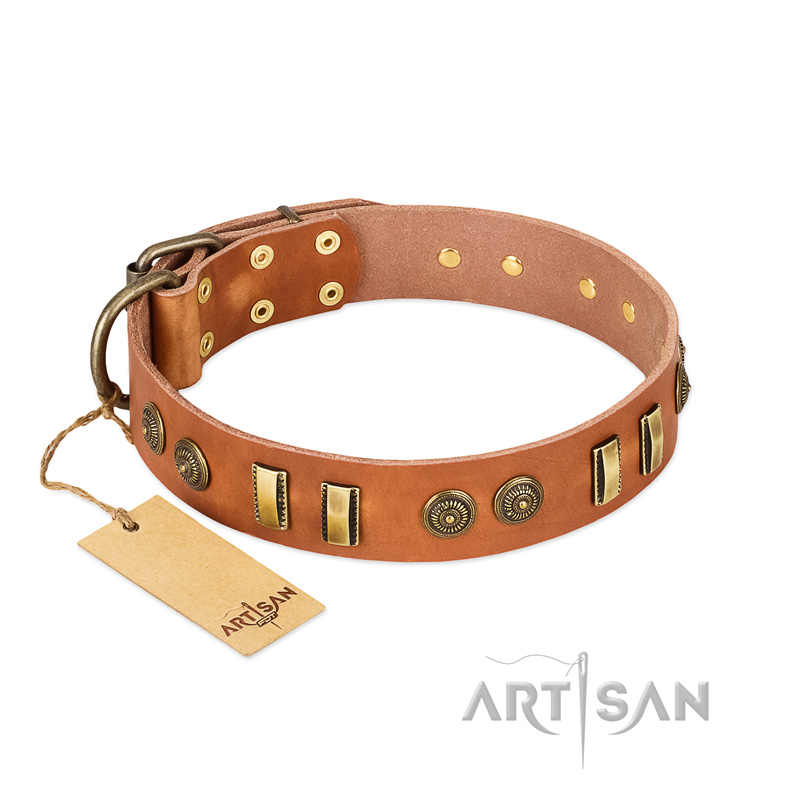 "Natural Beauty" FDT Artisan Tan Leather Amstaff Collar with Old Bronze-like Circles and Plates