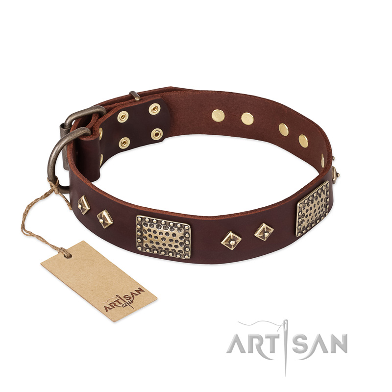 "Loving Owner" FDT Artisan Decorated Leather Amstaff Collar with Plates and Studs