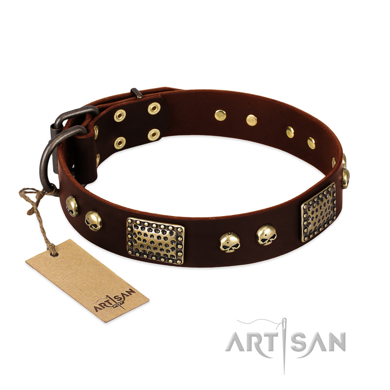 "Magic Amulet" Brown Leather Amstaff Collar with Skulls and Plates