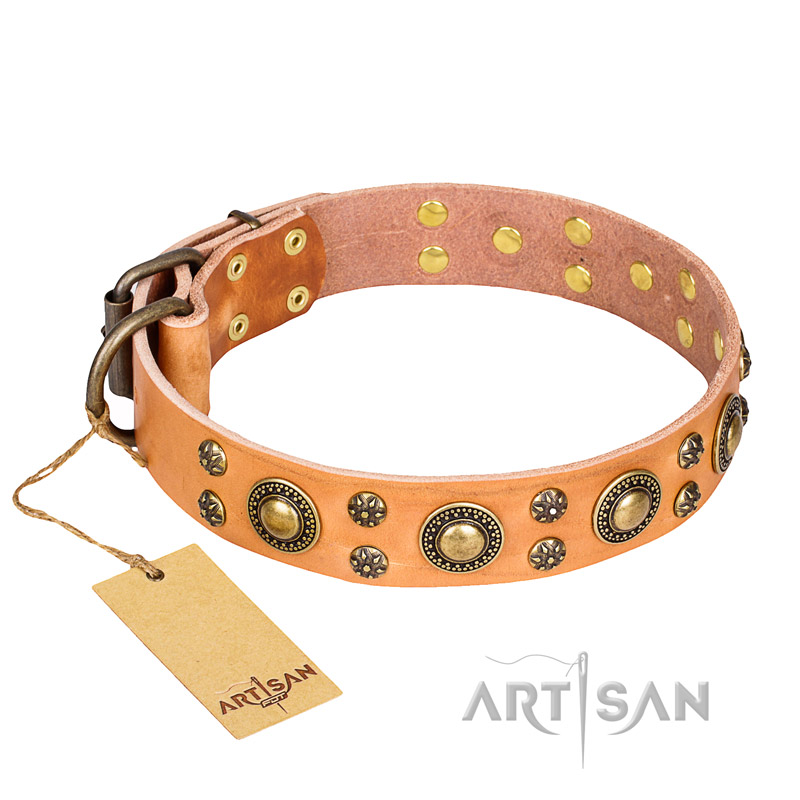 "Sophisticated Glamor" FDT Artisan Leather Amstaff Collar with Fancy Old Bronze-like Plated Decorations
