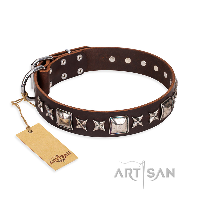 "Perfect Impression" FDT Artisan Brown Leather Amstaff Collar with Silvery Square Studs