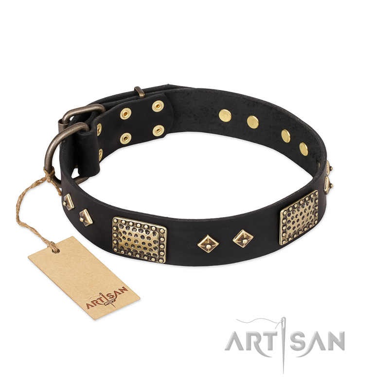 "Jewel Passion" FDT Artisan Fashionable Black Leather Amstaff Collar