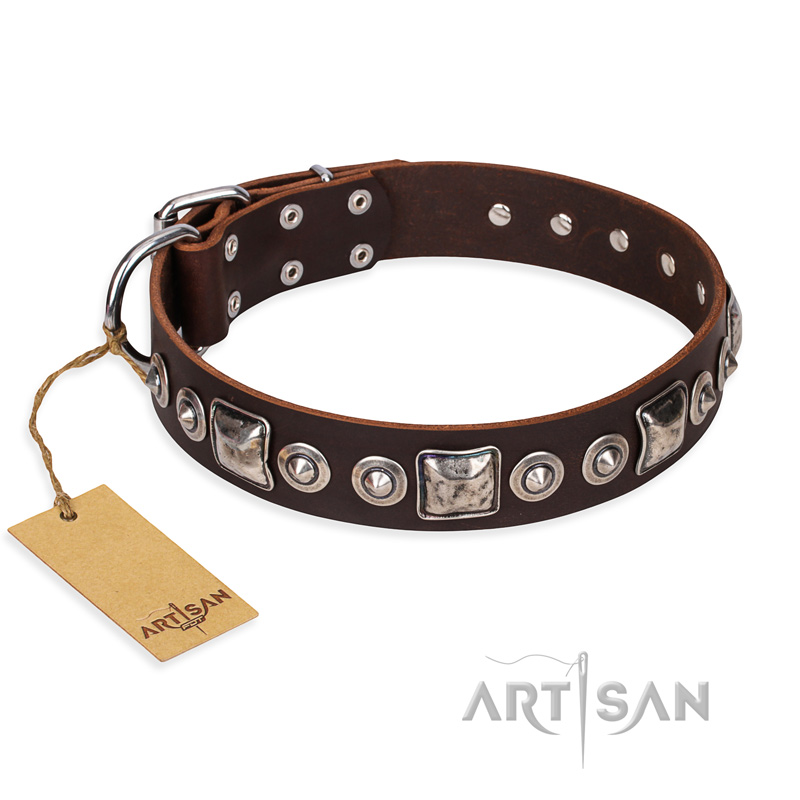 "Pierian spring" FDT Artisan Brown Leather Amstaff Collar with Silvery Decorations