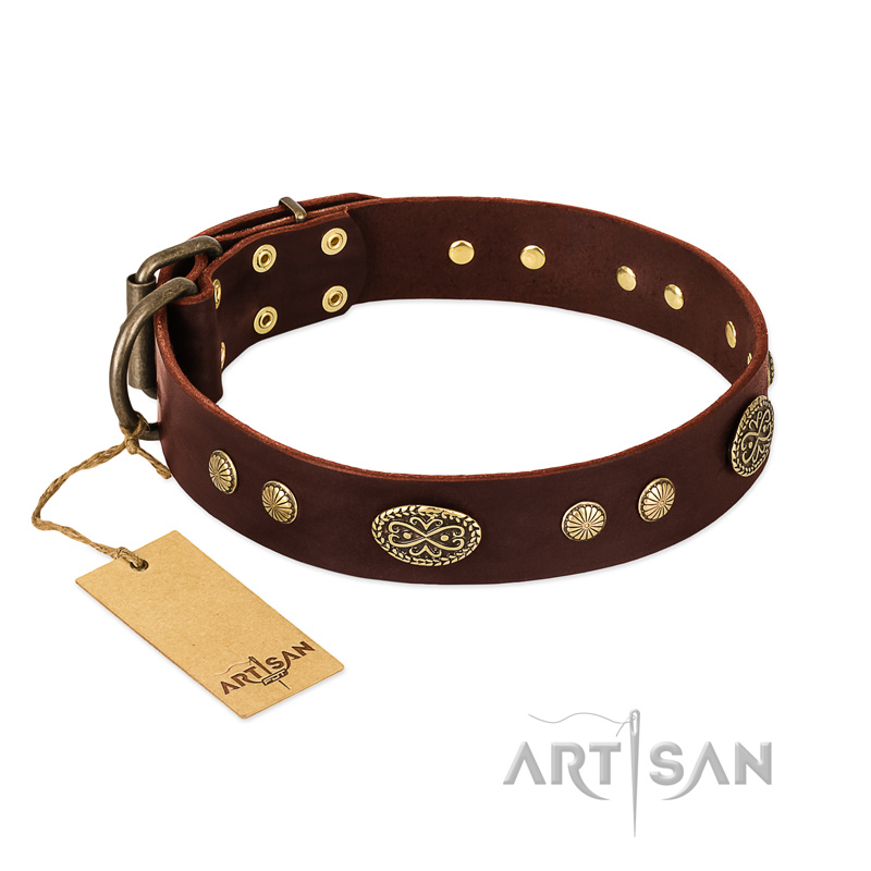 "Old-fashioned Glamor" FDT Artisan Brown Leather Amstaff Collar with Old Bronze Look Plates and Circles