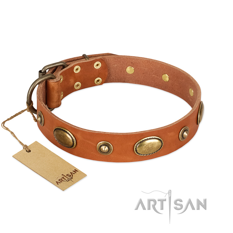 "Visual Magic" FDT Artisan Tan Leather Amstaff Collar for Daily Activities