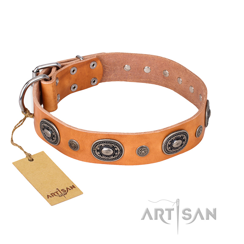 "Twinkle Twinkle" FDT Artisan Incredible Studded Tan Leather Amstaff Collar