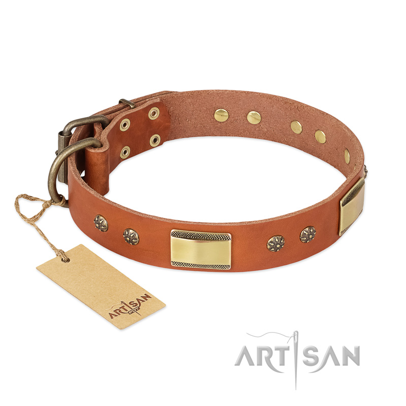 "Enchanting Spectacle" FDT Artisan Tan Leather Amstaff Collar with Old Bronze Look Plates and Round Studs