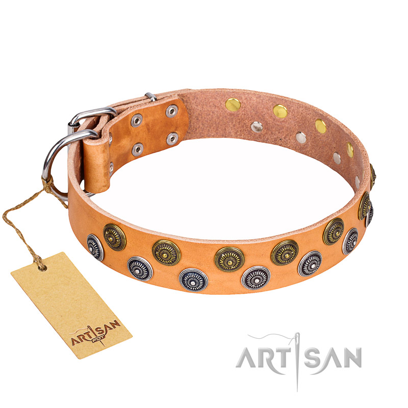 "Precious Sparkle" FDT Artisan Handcrafted Tan Leather Amstaff Collar