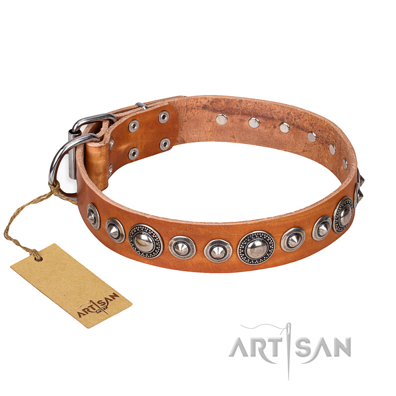"Daily Chic" FDT Artisan Tan Leather Amstaff Collar with Decorations