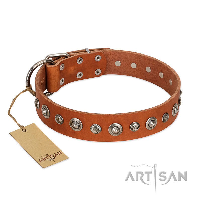 "Gorgeous Roundie" FDT Artisan Tan Leather Amstaff Collar with Chrome-plated Circles