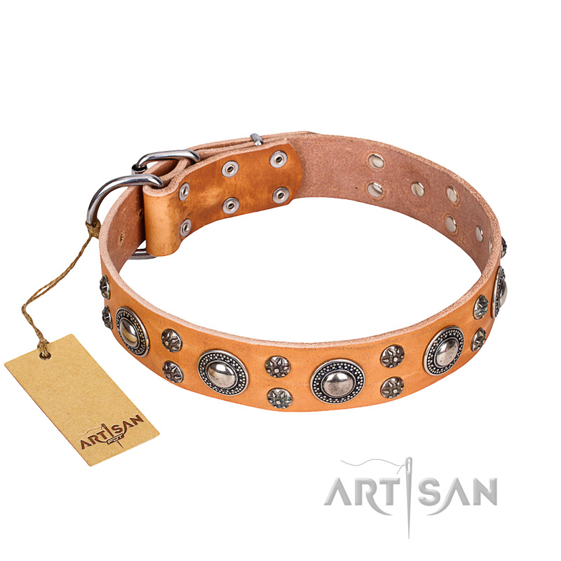 "Extra Sparkle" FDT Artisan Handcrafted Tan Leather Amstaff Collar