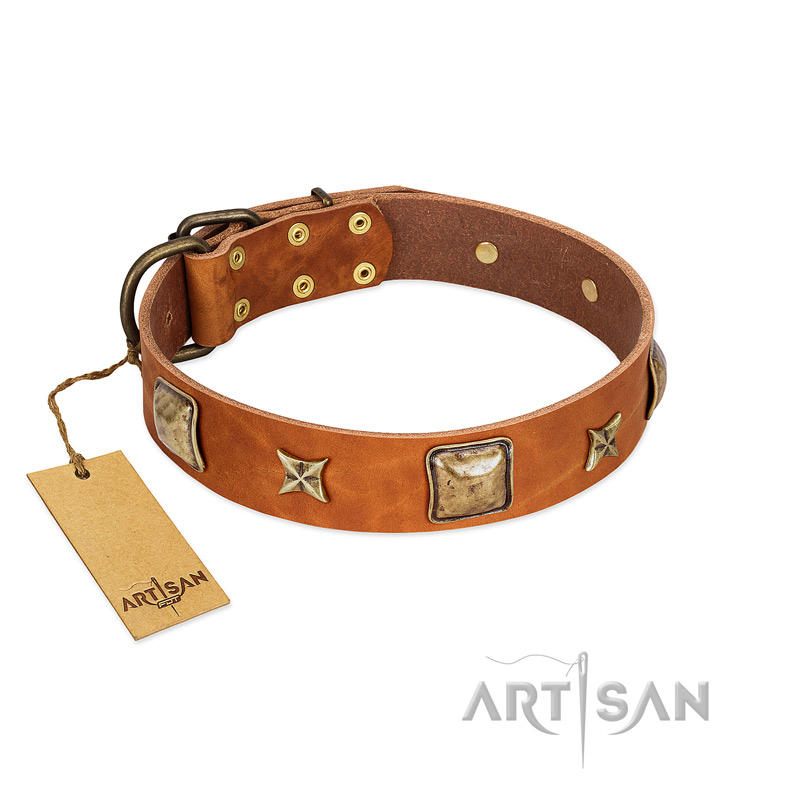 "Celtic Tunes" FDT Artisan Tan Leather Amstaff Collar Adorned with Stars and Squares
