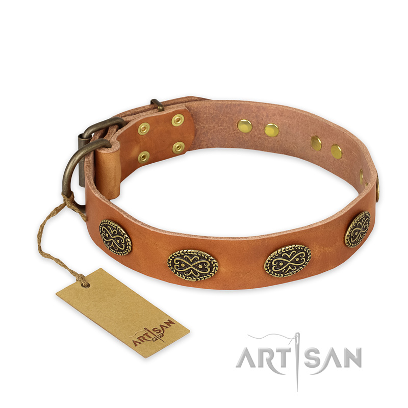 "Magic Amulet" FDT Artisan Tan Leather Amstaff Collar with Oval Studs