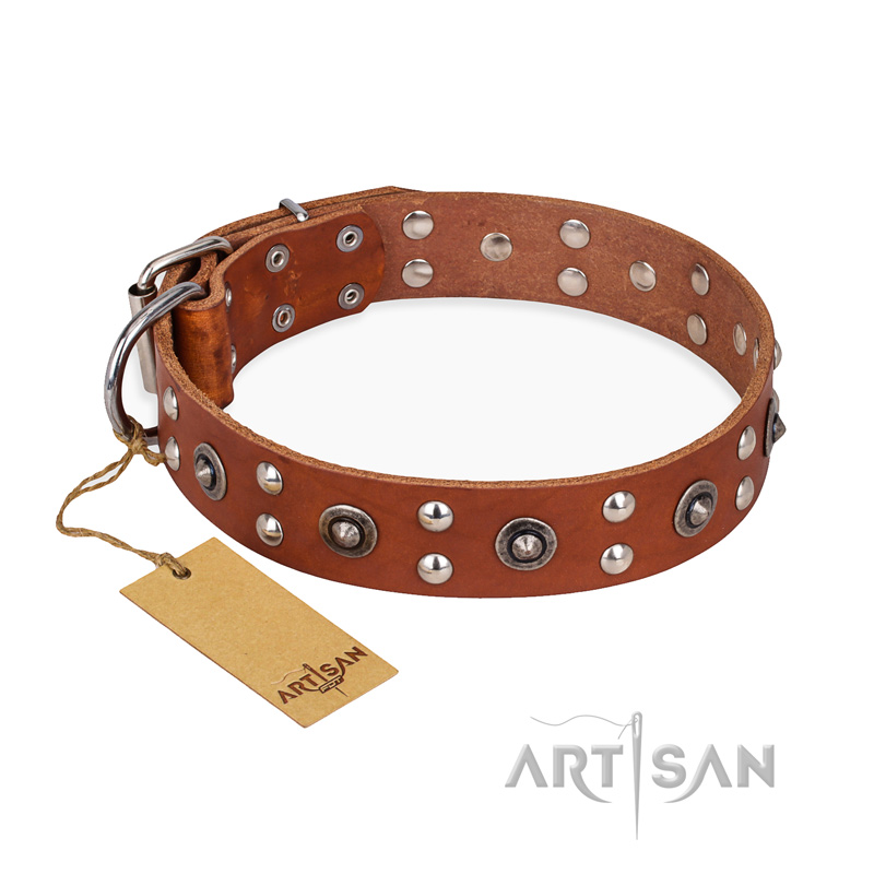 "Silver Elegance" FDT Artisan Decorated Leather Amstaff Collar with Old Silver-Like Plated Studs and Cones