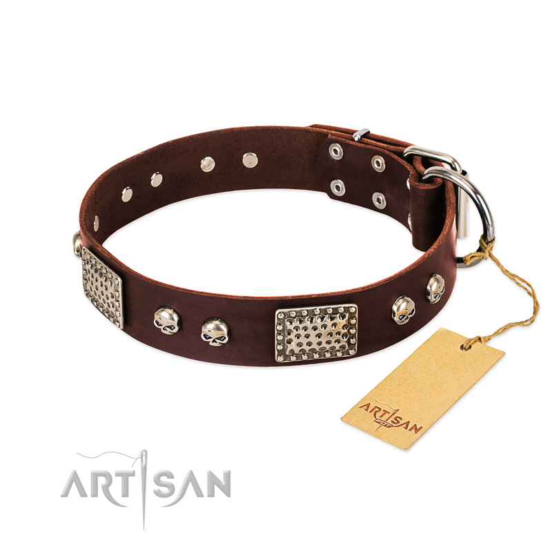 "Pirate Skull" FDT Artisan Brown Leather Amstaff Collar with Old Silver Look Plates and Skulls