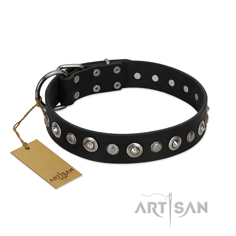 "Genteel Charm" FDT Artisan Black Leather Amstaff Collar with Silver-like Round Conchos