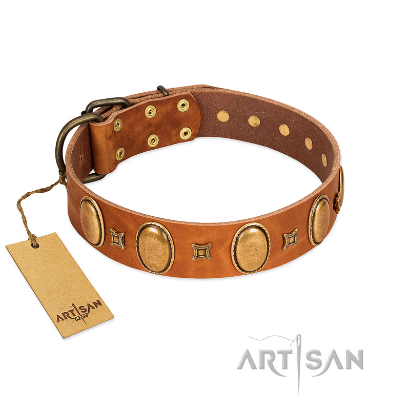 "Glossy Autumn" Designer Handmade FDT Artisan Tan Leather Amstaff Collar with Ovals and Studs