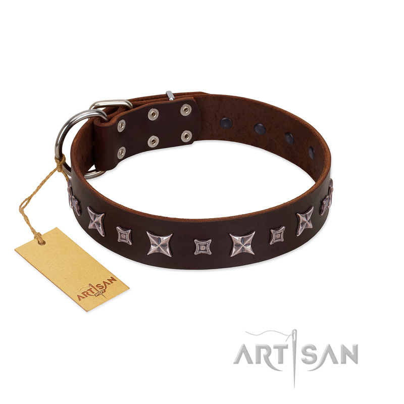 "Stellar Fairy " FDT Artisan Brown Leather Amstaff Collar with Chrome-plated Star-like Decorations