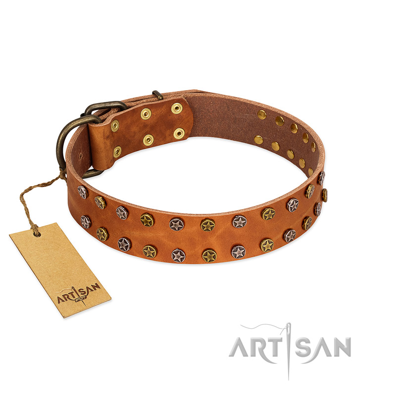 "Walk and Shine" FDT Artisan Tan Leather Amstaff Collar with Antiqued Studs - Click Image to Close