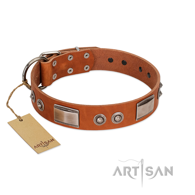 "Pawsy Glossy" FDT Artisan Exclusive Tan Leather Amstaff Collar 1 1/2 inch (40 mm) wide