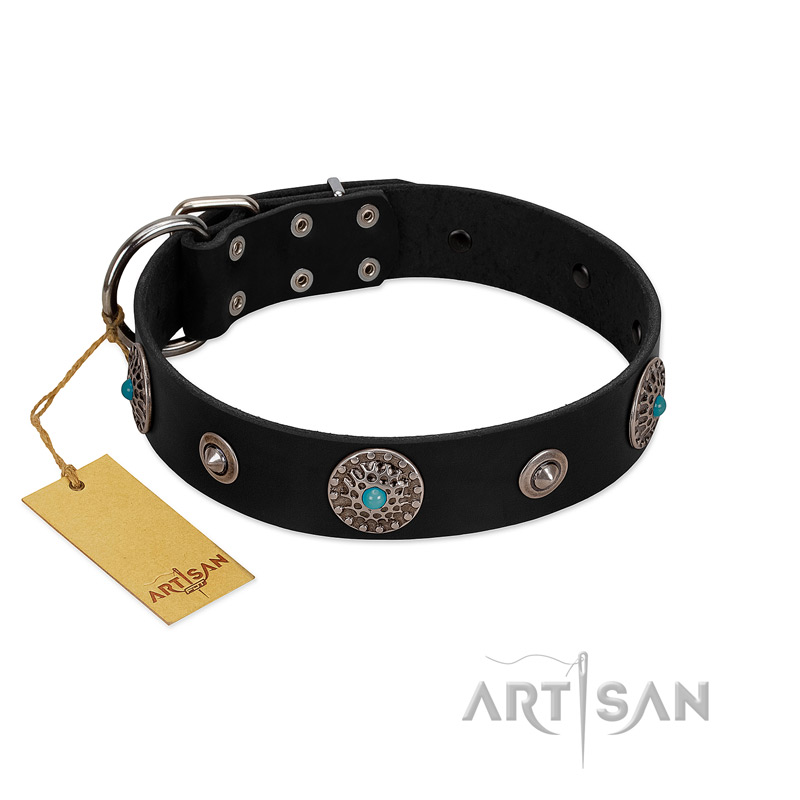 "Blue Gems" FDT Artisan Black Leather Amstaff Collar with Chrome Plated Studs and Conchos