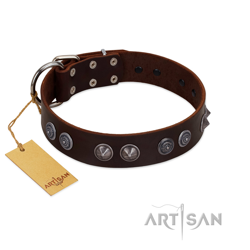 "King Arthur" FDT Artisan Brown Leather Amstaff Collar with Spiky Plates