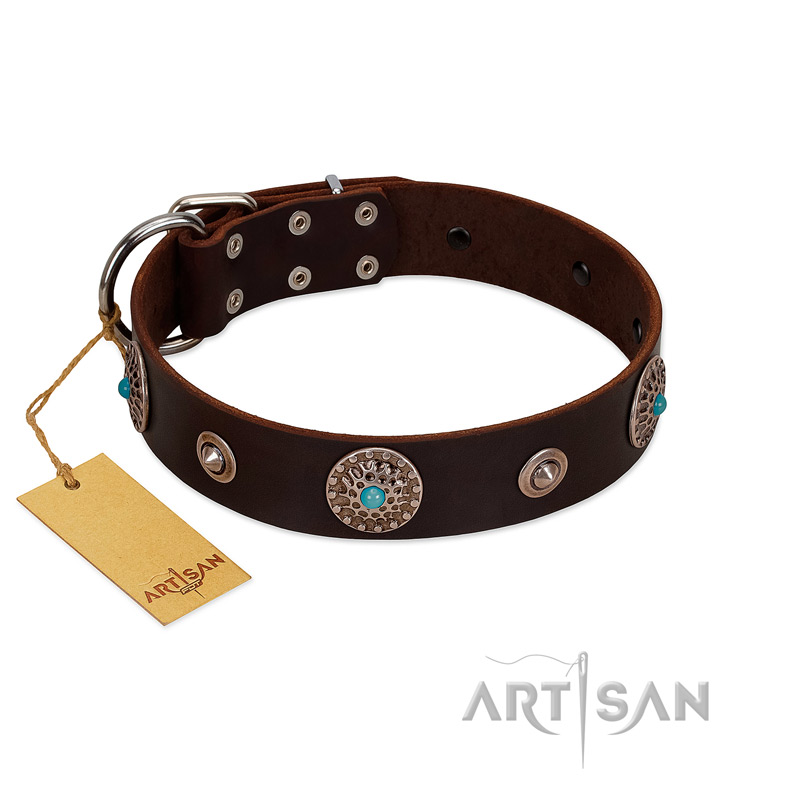 "Magic Stones" FDT Artisan Brown Leather Amstaff Collar with Chrome Plated Brooches and Studs