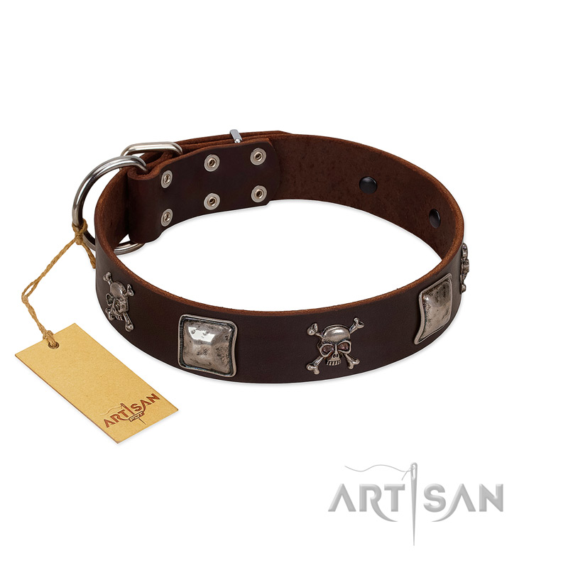 "Nut-Brown Finery" Embellished FDT Artisan Brown Leather Amstaff Collar with Chrome Plated Crossbones and Plates